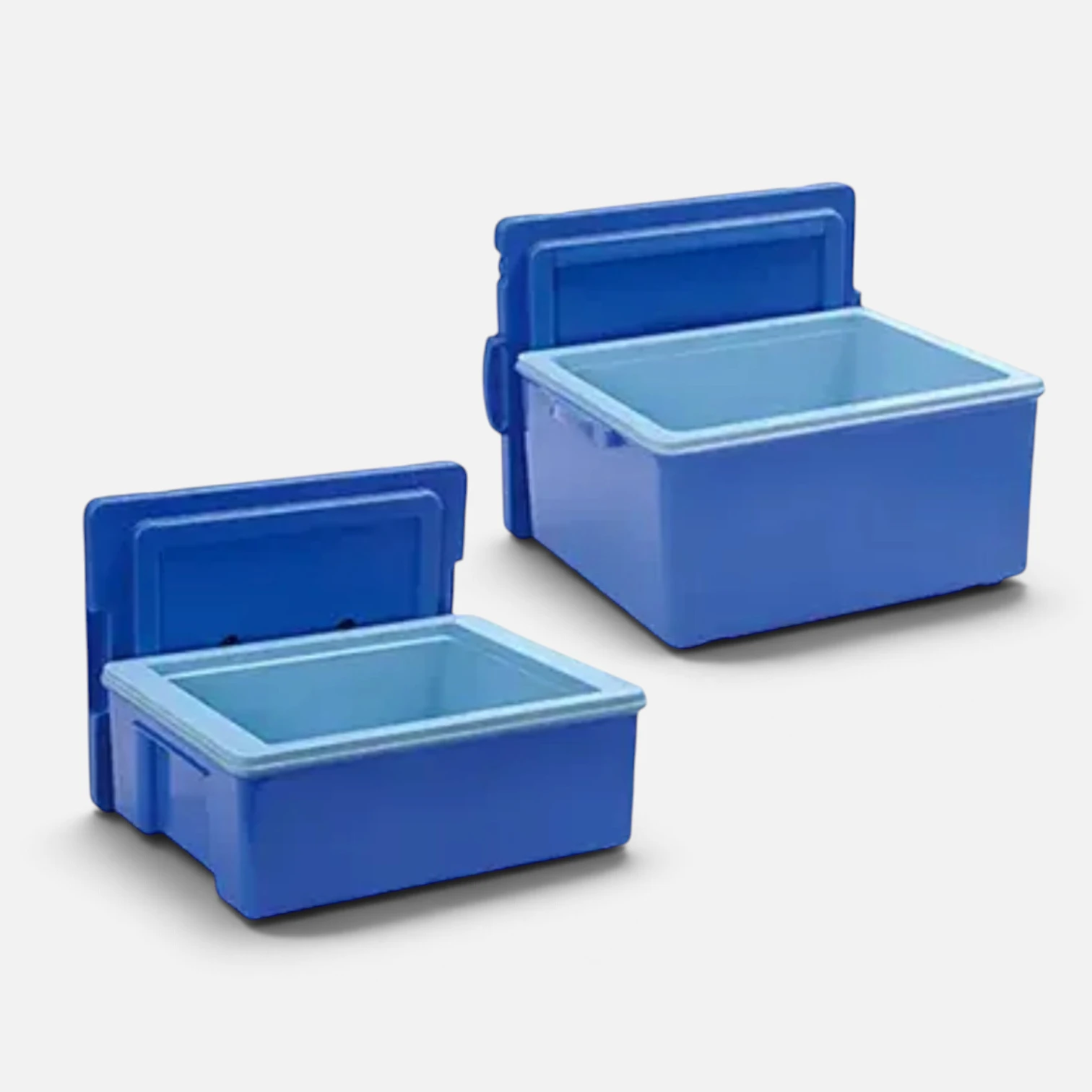 Rice Container